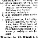 1868-08-24 Hdf Versteigerung Steingrueber
